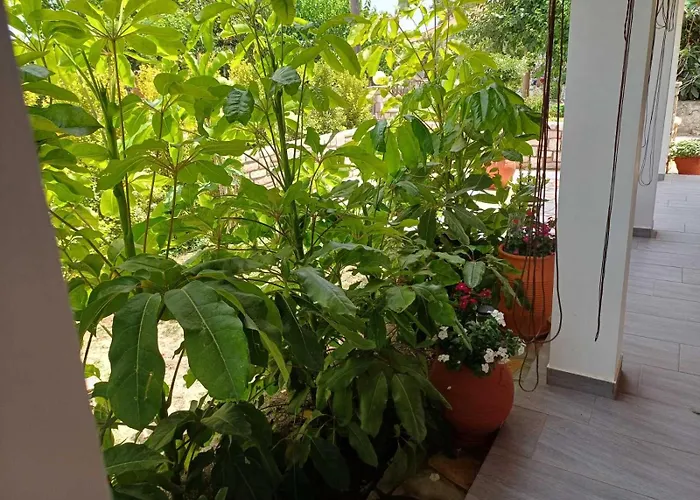 Дом отдыха Aggelikis House *