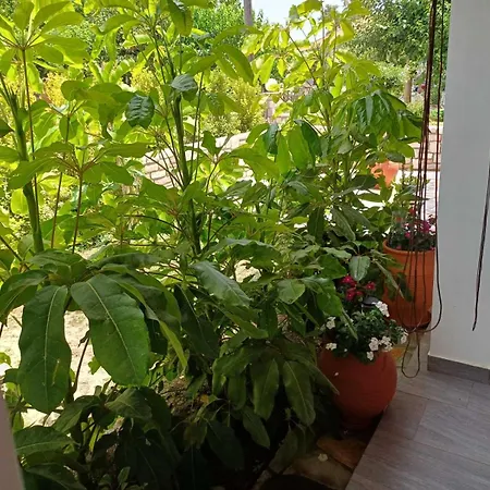 Σπίτι διακοπών Aggelikis House *