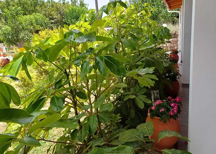 Сasa de vacaciones Aggelikis House *