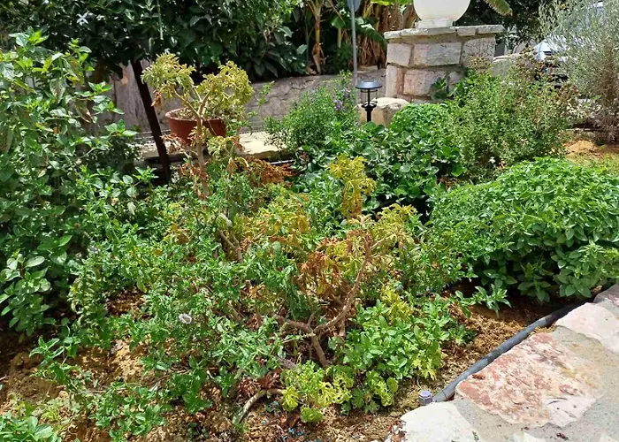 Сasa de vacaciones Aggelikis House Methoni (Messenia)